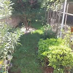 Tuzlak